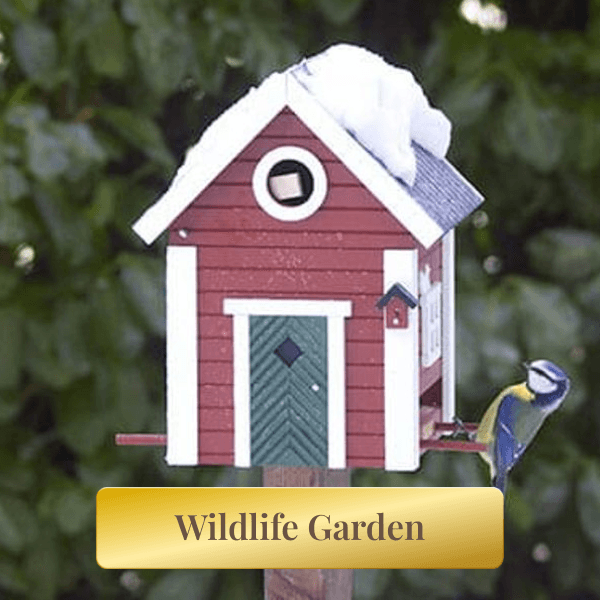 Wildlife Garden