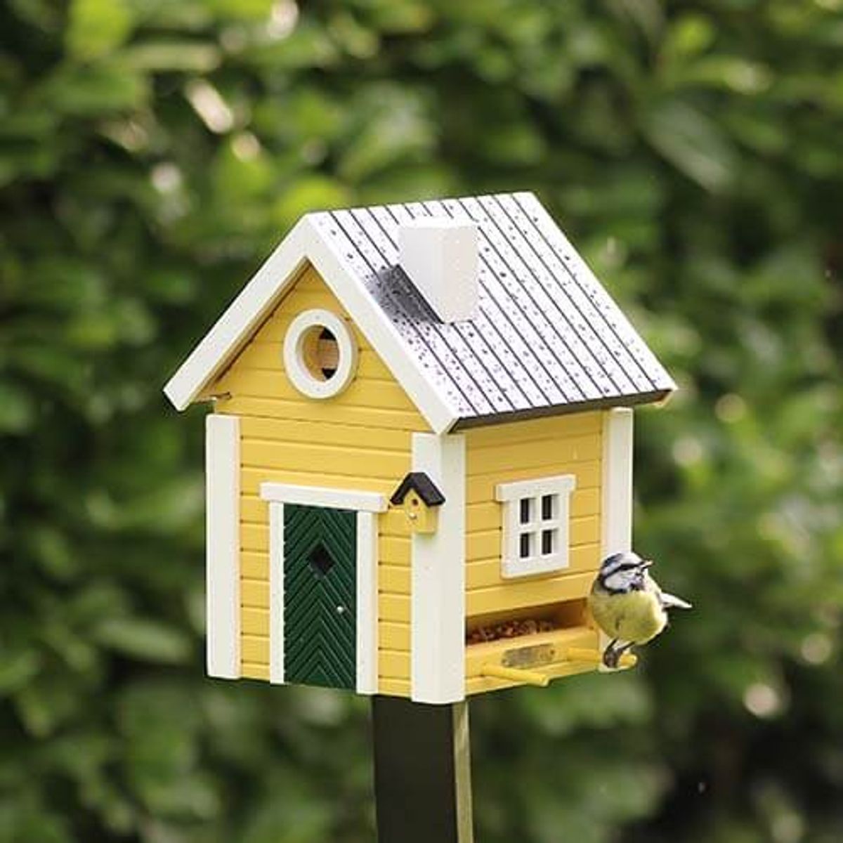 Fuglekasse og fuglemater i ett  Gul Villa Wildlife Garden
